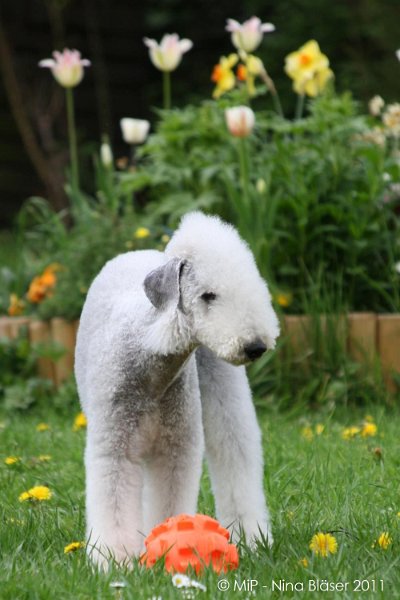 2011-04-23 Quincy etc (53).jpg